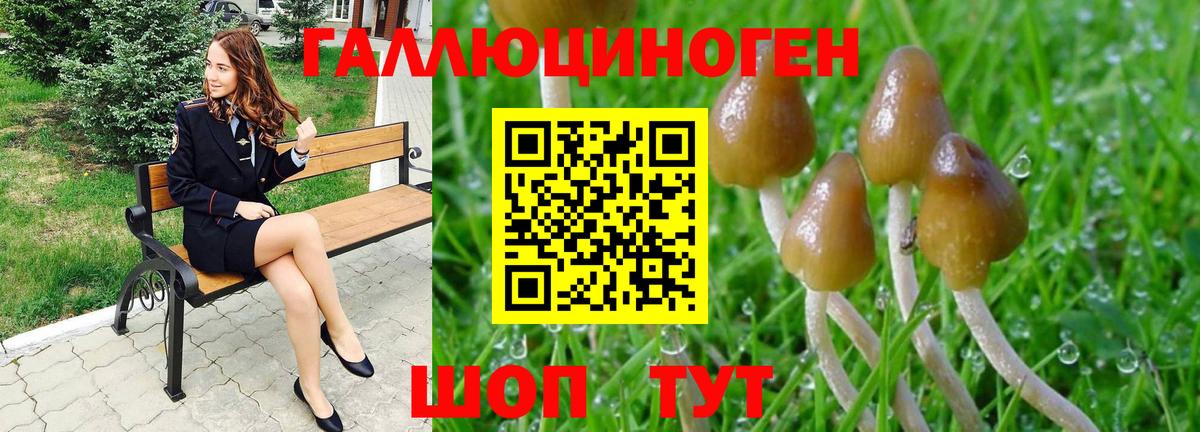 Баксан  Псилоцибиновые грибы мухоморы  Вход с VPN 